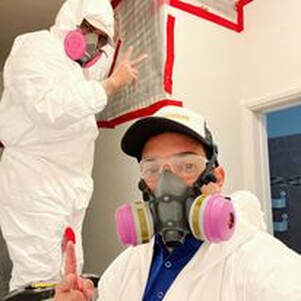 Mold removal agents