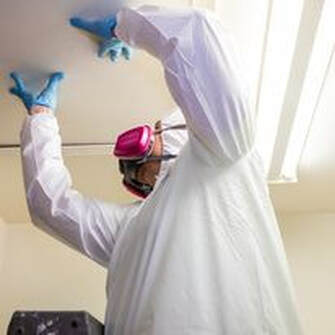 Mold removal agent working