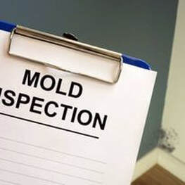 Mold Inspection form